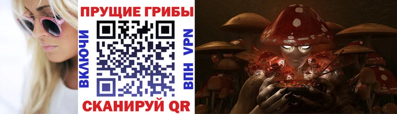 Купить  Южно-Сухокумск  Галлюциногенные грибы мицелий 